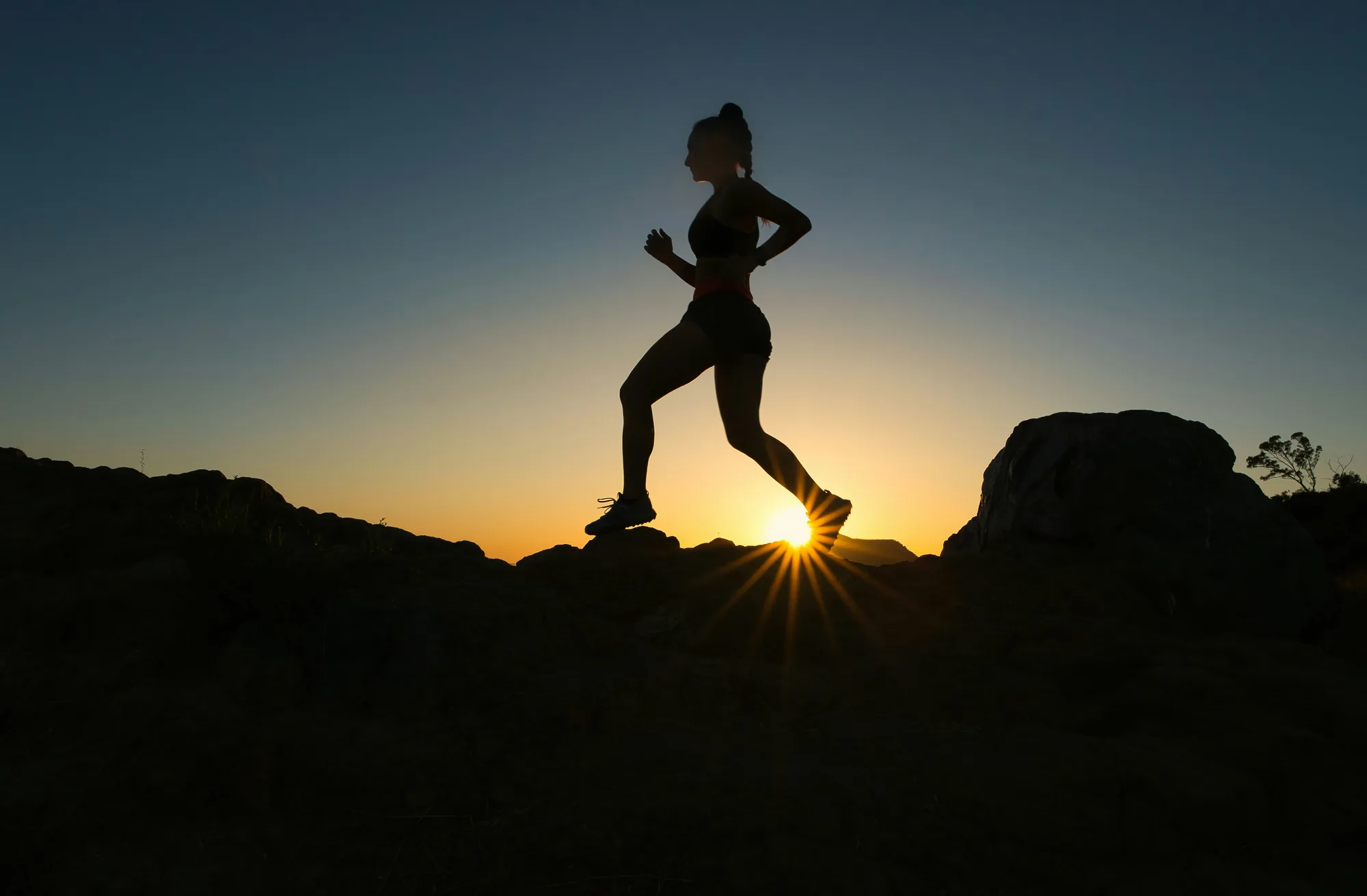 Chiropractic care at The Creek Chiropractic & Wellness in Battle Creek, MI