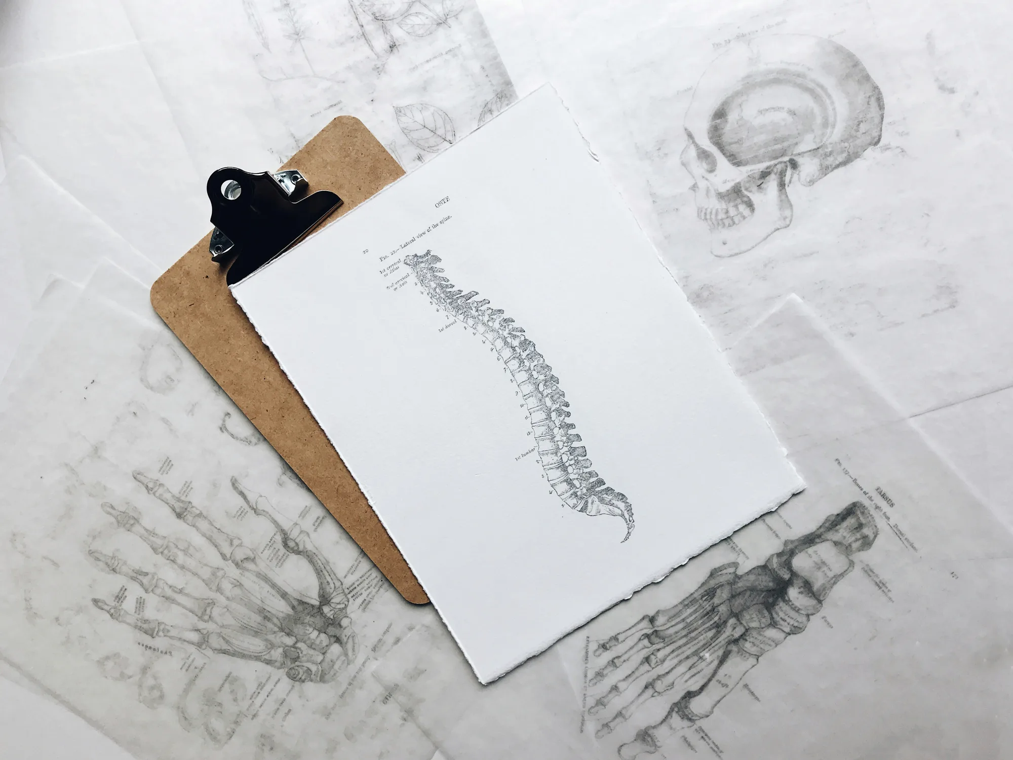 Intersegmental Traction Therapy at The Creek Chiropractic & Wellness in Battle Creek
