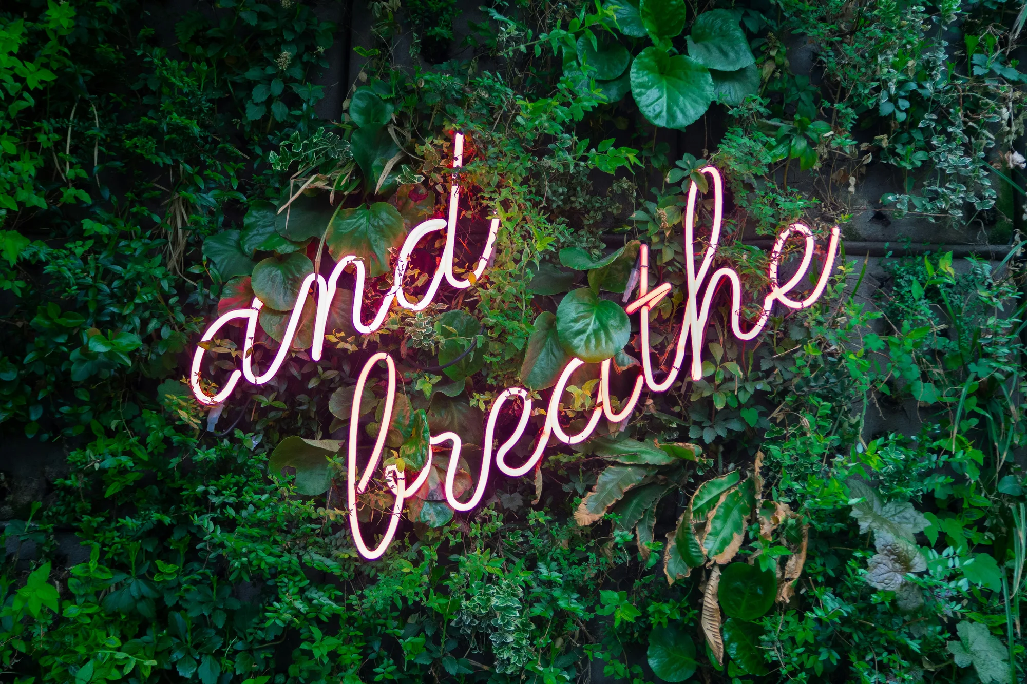 Wellness Care at The Creek Chiropractic & Wellness in Battle Creek